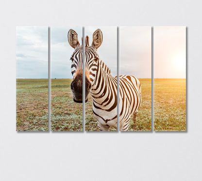 Charming Zebra Face Canvas Print-Canvas Print-CetArt-5 Panels-36x24 inches-CetArt