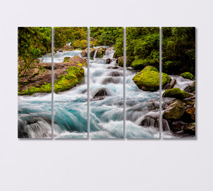 Stream in Fiordland National Park New Zealand Canvas Print-Canvas Print-CetArt-5 Panels-36x24 inches-CetArt