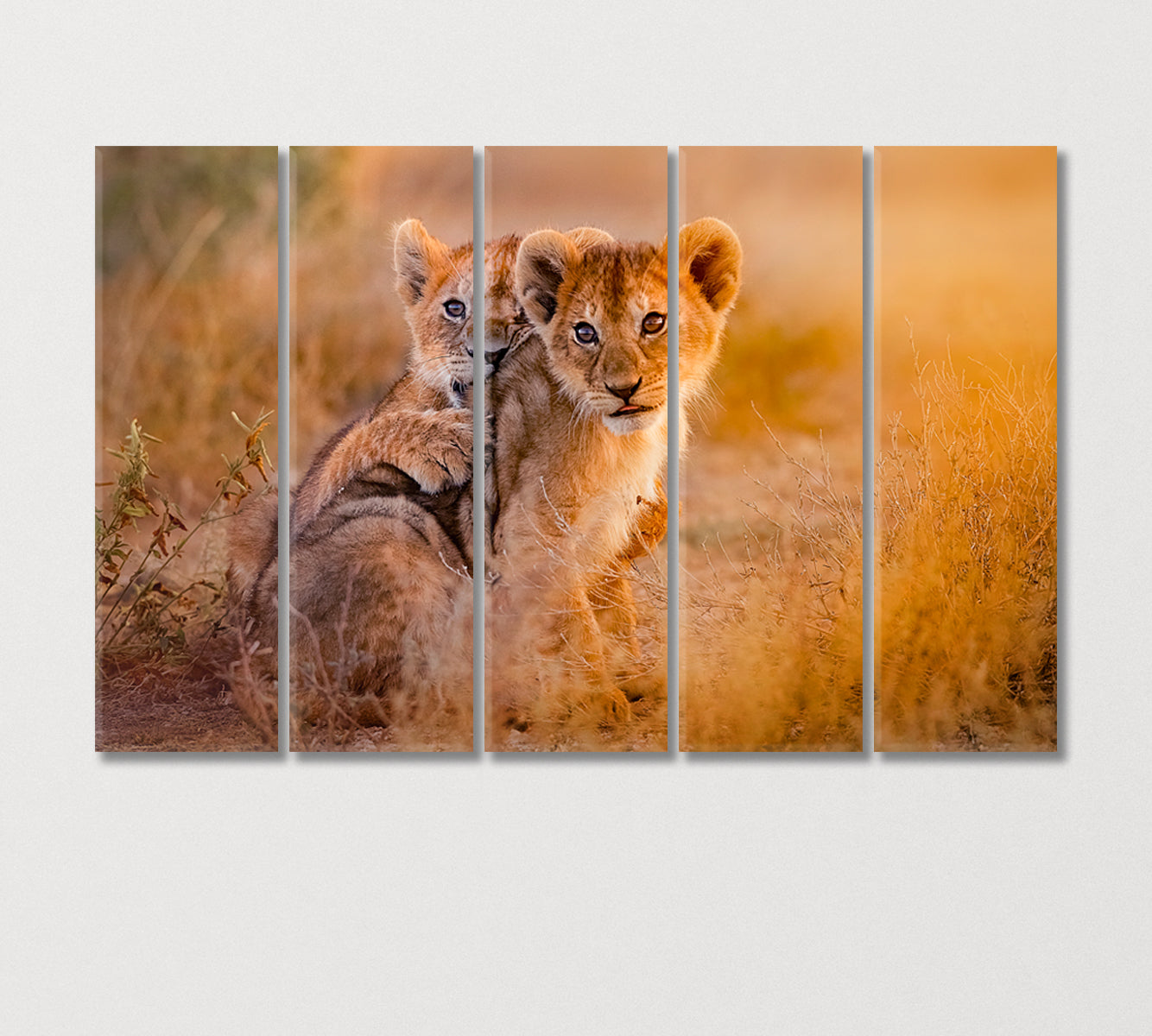 Two Cute Lion Cubs Canvas Print-Canvas Print-CetArt-5 Panels-36x24 inches-CetArt