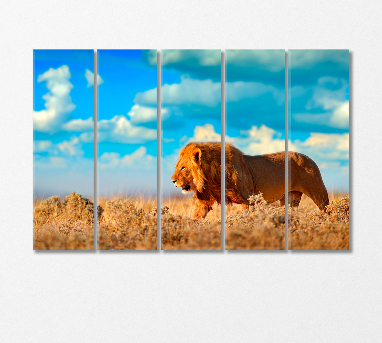 Wild African Lion Canvas Print-Canvas Print-CetArt-5 Panels-36x24 inches-CetArt