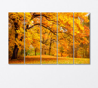 Autumn Landscape Canvas Print-Canvas Print-CetArt-5 Panels-36x24 inches-CetArt