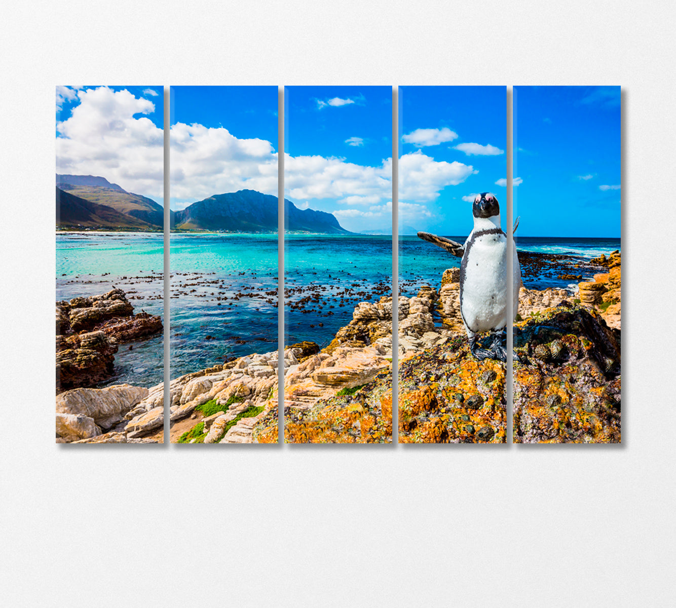 Penguin on Atlantic Ocean Beach Canvas Print-Canvas Print-CetArt-5 Panels-36x24 inches-CetArt