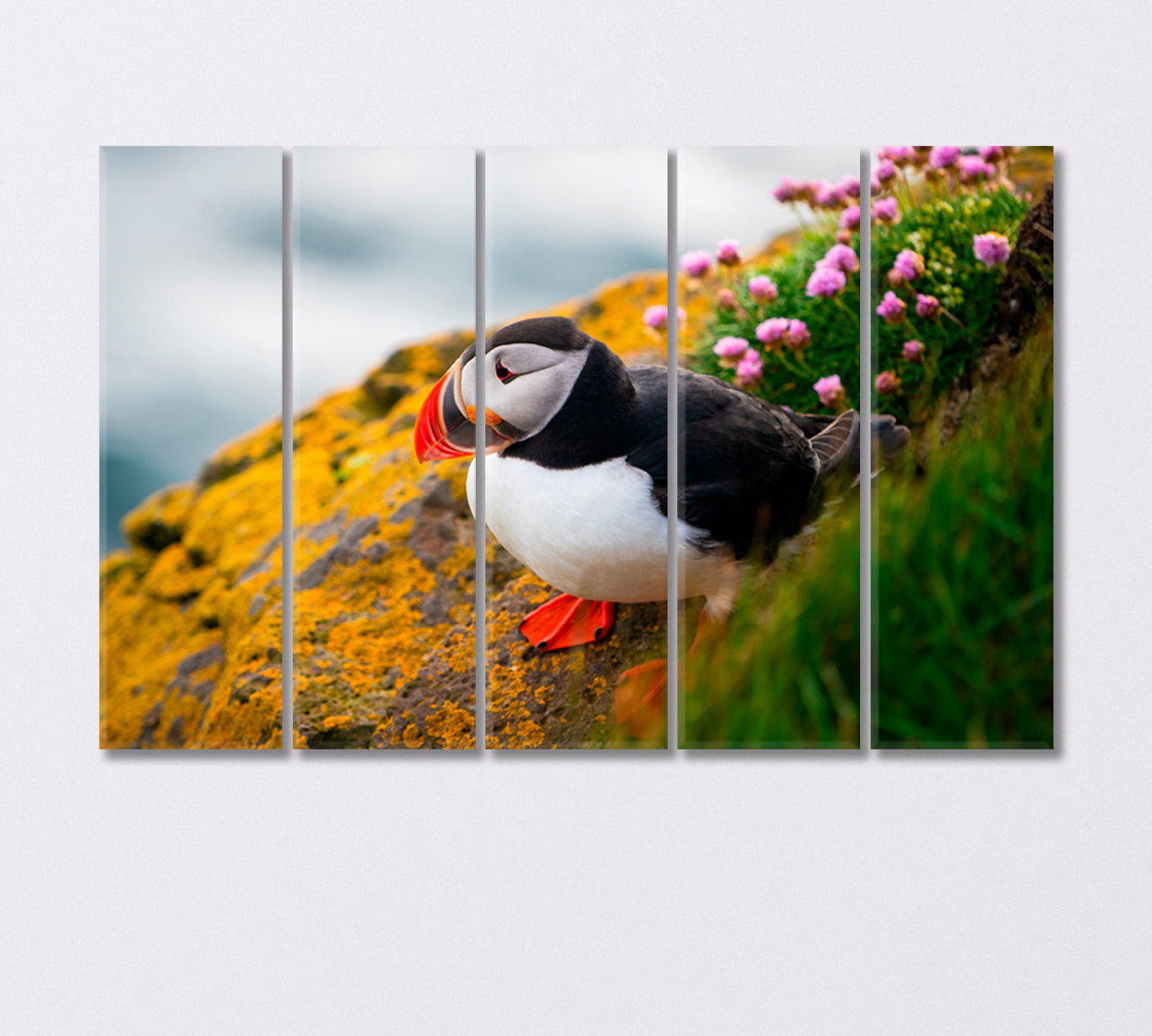 Puffin Seabird Canvas Print-Canvas Print-CetArt-5 Panels-36x24 inches-CetArt