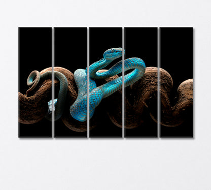 Poisonous Turquoise Blue Viper Canvas Print-Canvas Print-CetArt-5 Panels-36x24 inches-CetArt