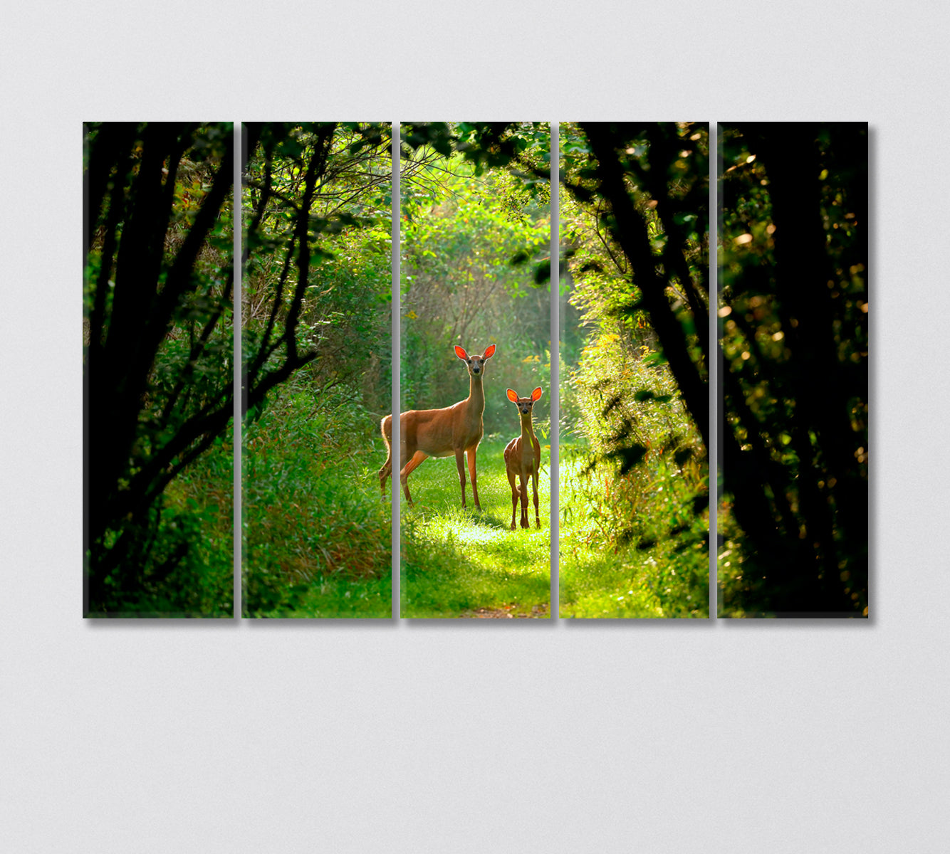 White Tailed Deer with a Fawn in the Forest Canvas Print-Canvas Print-CetArt-5 Panels-36x24 inches-CetArt