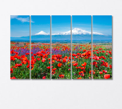 Poppy Field near Mount Ararat Armenia Canvas Print-Canvas Print-CetArt-5 Panels-36x24 inches-CetArt