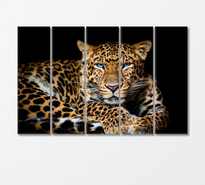 Northern Chinese Leopard with Extraordinary Blue Eyes Canvas Print-Canvas Print-CetArt-5 Panels-36x24 inches-CetArt