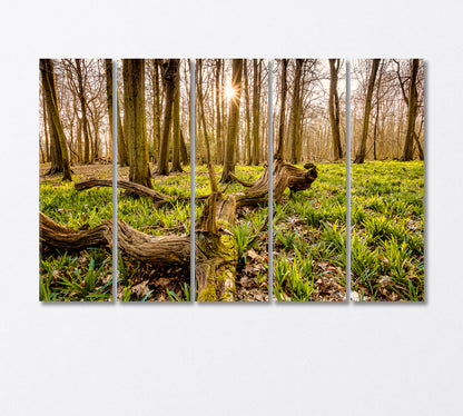 Forest with an Old Tree Trunk Canvas Print-Canvas Print-CetArt-5 Panels-36x24 inches-CetArt