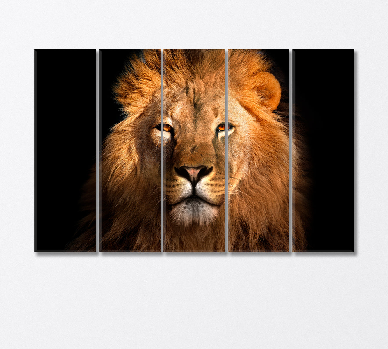 Lion King Canvas Print-Canvas Print-CetArt-5 Panels-36x24 inches-CetArt