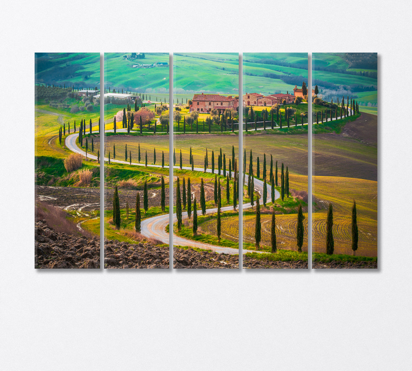 Sunny Fields in Tuscany Italy Canvas Print-Canvas Print-CetArt-5 Panels-36x24 inches-CetArt