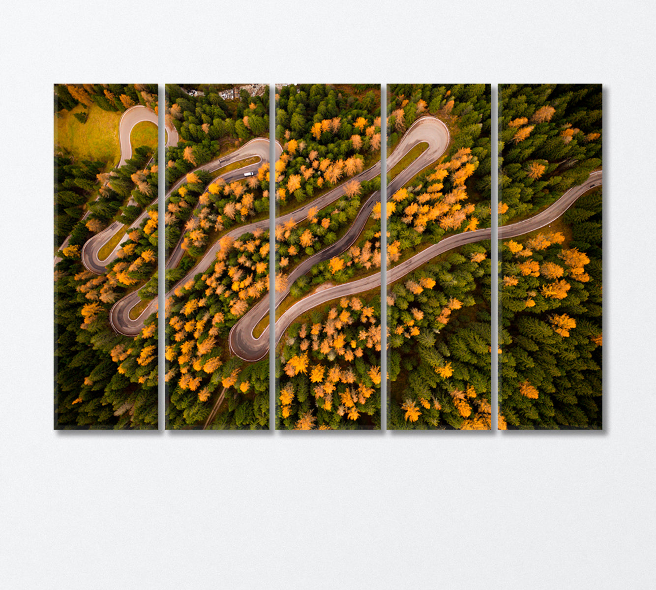 Winding Road in Autumn Forest Top View Canvas Print-Canvas Print-CetArt-5 Panels-36x24 inches-CetArt