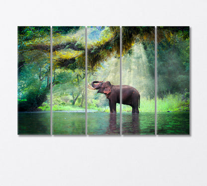 Wild Elephant in the Fairy Forest Thailand Canvas Print-Canvas Print-CetArt-5 Panels-36x24 inches-CetArt