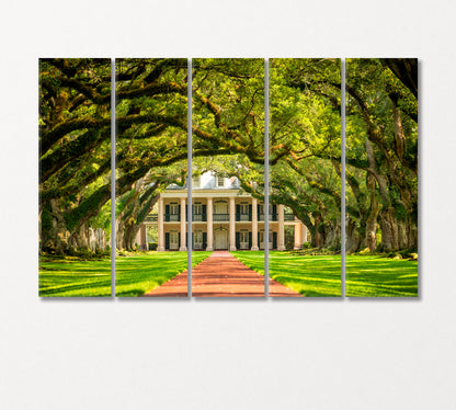 Oak Alley Plantation Louisiana Canvas Print-Canvas Print-CetArt-5 Panels-36x24 inches-CetArt