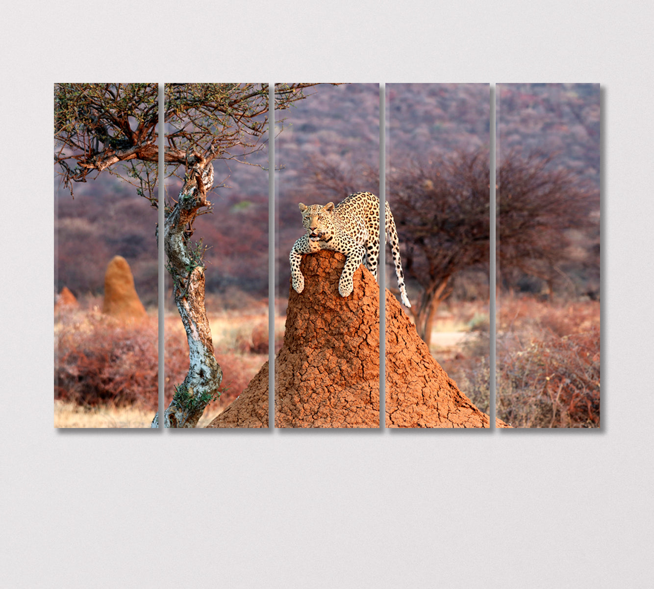 Leopard on a Termite Hill Namibia Africa Canvas Print-Canvas Print-CetArt-5 Panels-36x24 inches-CetArt