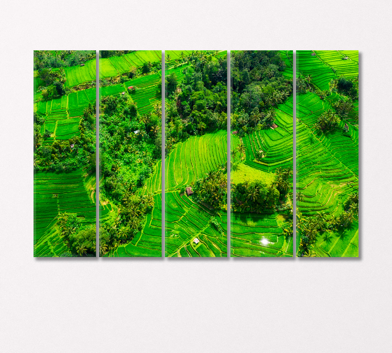 Rice Terraces Bali Indonesia Canvas Print-Canvas Print-CetArt-5 Panels-36x24 inches-CetArt