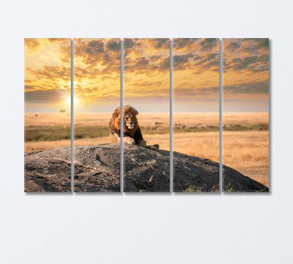 Lion King Resting on Rock Canvas Print-Canvas Print-CetArt-5 Panels-36x24 inches-CetArt