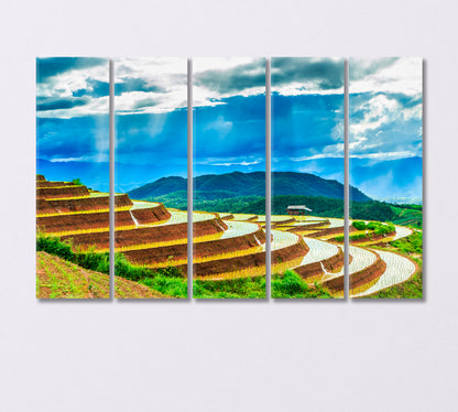 Rice Fields in Thailand Canvas Print-Canvas Print-CetArt-5 Panels-36x24 inches-CetArt