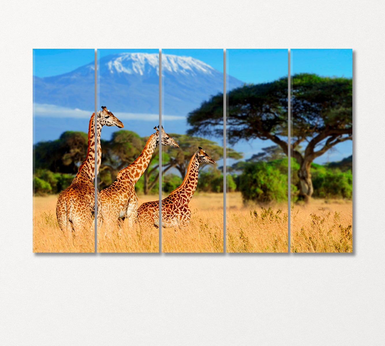 Three Giraffe near Kilimanjaro Mountain Africa Canvas Print-Canvas Print-CetArt-5 Panels-36x24 inches-CetArt