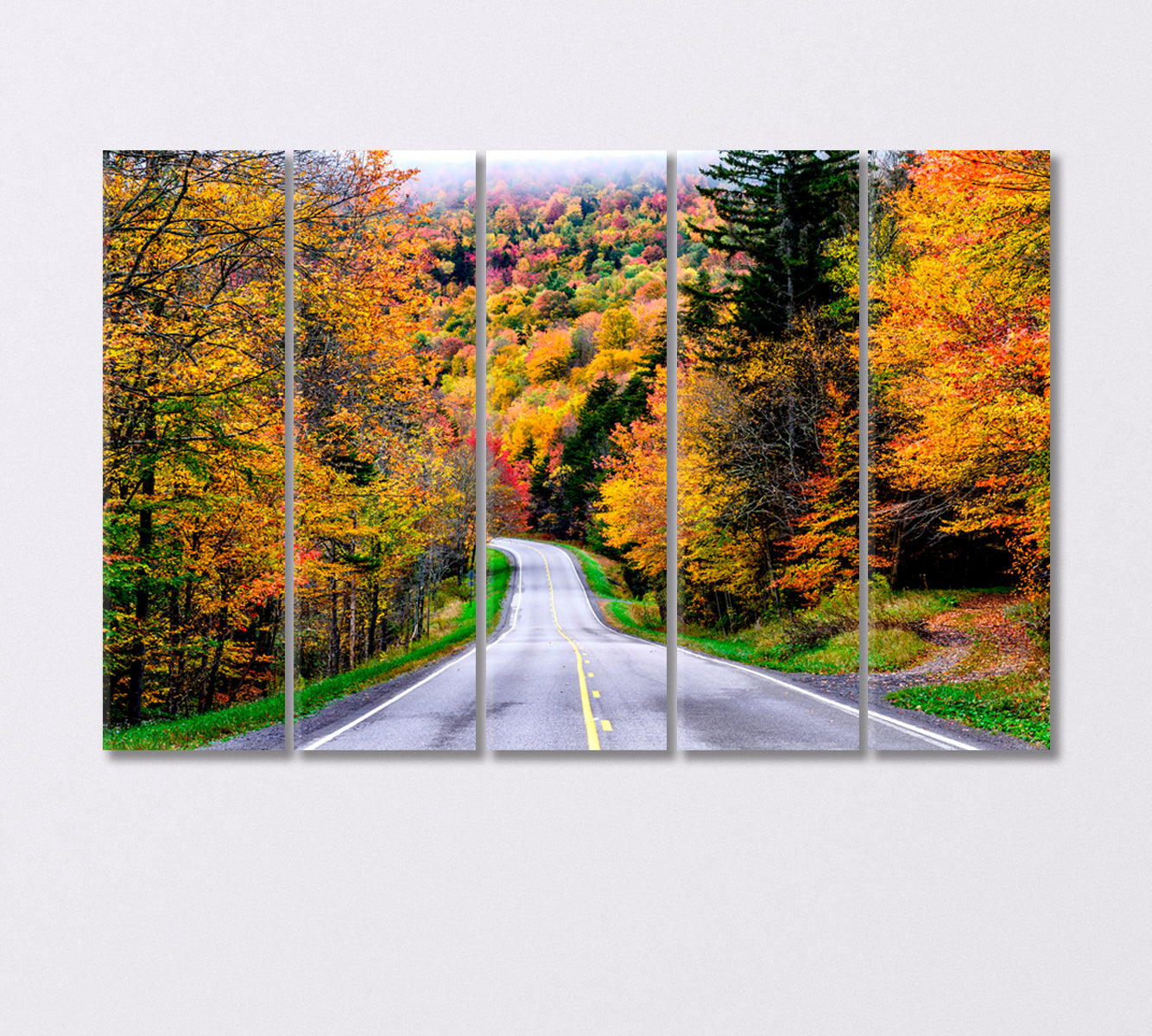 Autumn Road to Monongahela National Forest USA Canvas Print-Canvas Print-CetArt-5 Panels-36x24 inches-CetArt