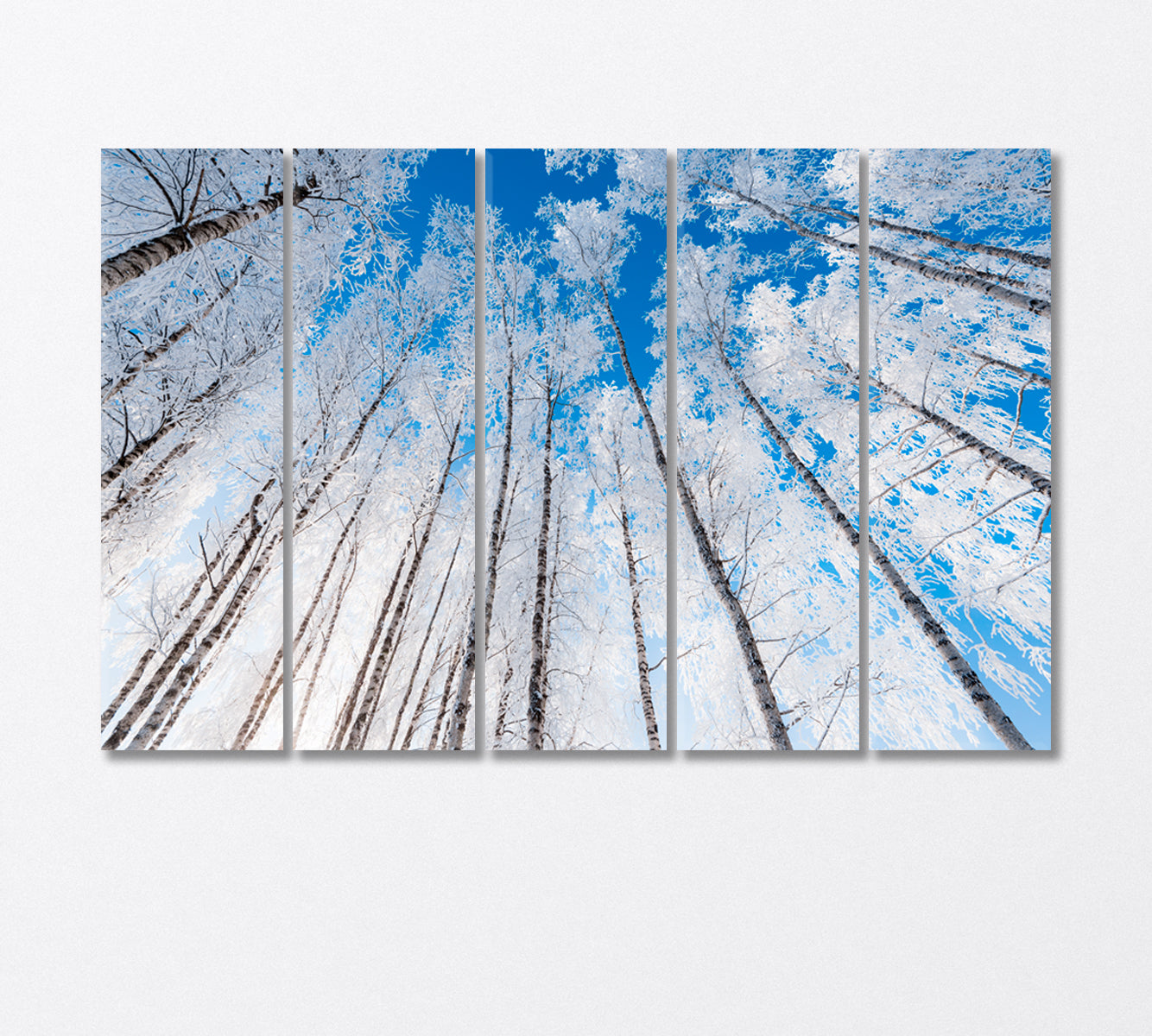 Snow Covered Birch Trees and Clear Blue Sky Canvas Print-Canvas Print-CetArt-5 Panels-36x24 inches-CetArt