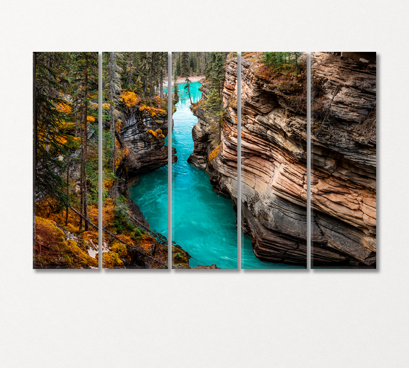 Athabasca Falls Jasper National Park Canada Canvas Print-Canvas Print-CetArt-5 Panels-36x24 inches-CetArt