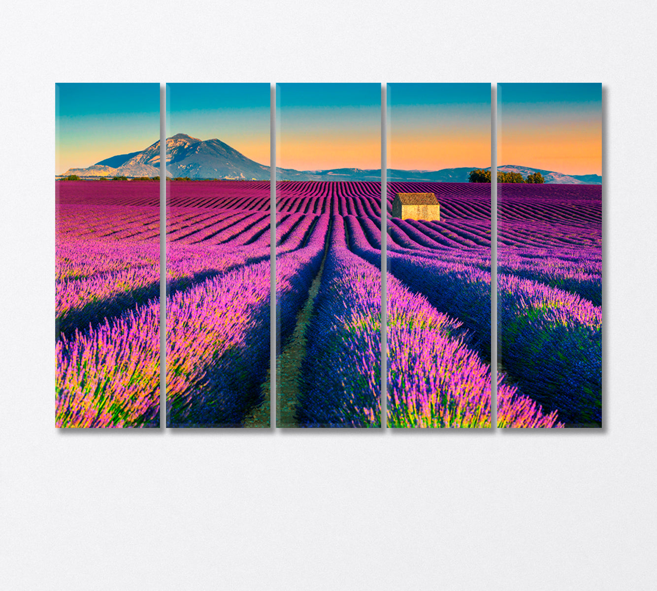 Majestic Colorful Lavender Fields Provence France Canvas Print-Canvas Print-CetArt-5 Panels-36x24 inches-CetArt