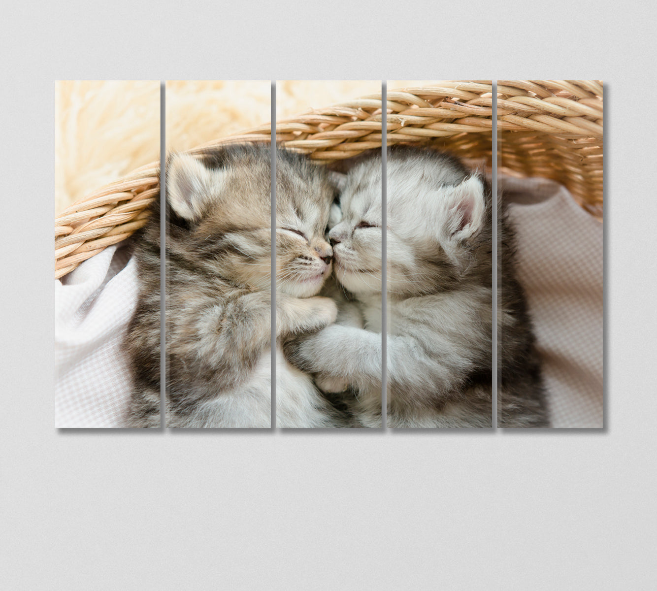 Cute Kittens Sleeping an Embrace Canvas Print-Canvas Print-CetArt-5 Panels-36x24 inches-CetArt