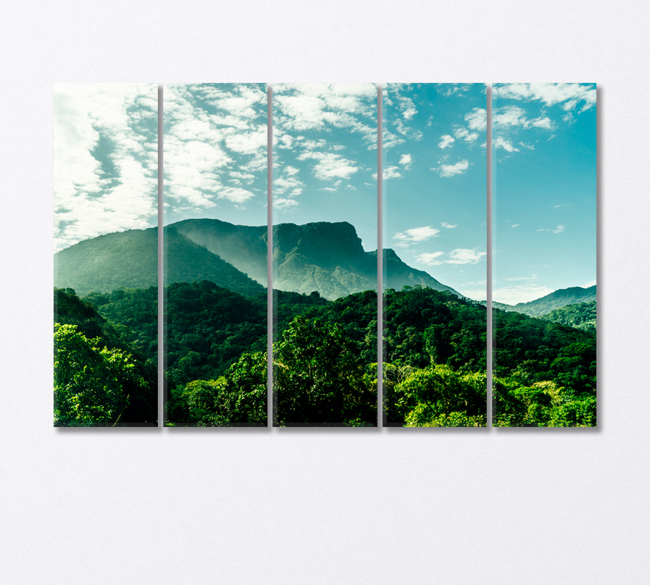 Santa Catarina Coast Hills Brazil Canvas Print-Canvas Print-CetArt-5 Panels-36x24 inches-CetArt