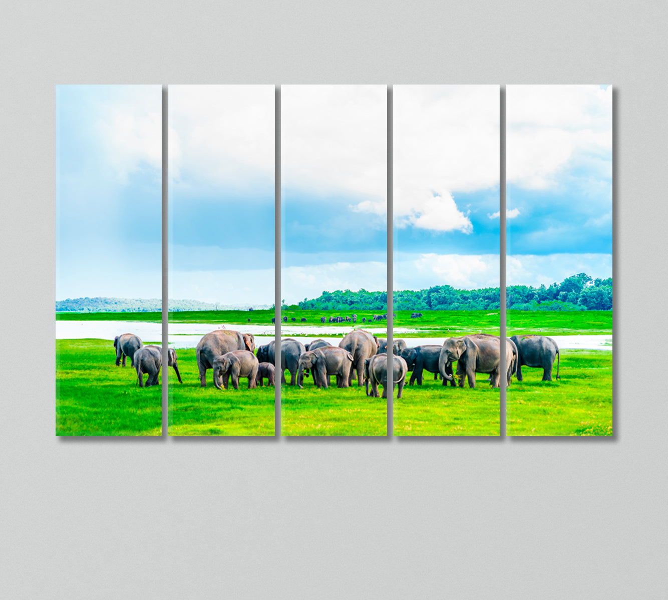 Herd of Elephants in Kaudulla National Park Sri Lanka Canvas Print-Canvas Print-CetArt-5 Panels-36x24 inches-CetArt