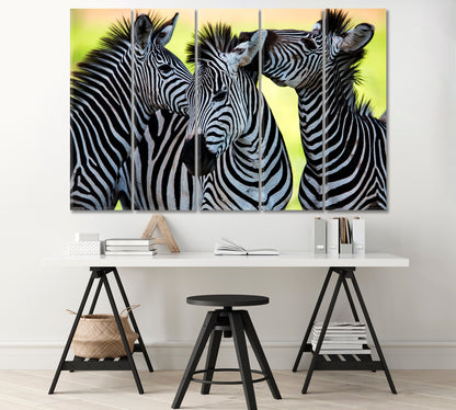 Wild Zebras of Africa Canvas Print-Canvas Print-CetArt-1 Panel-24x16 inches-CetArt