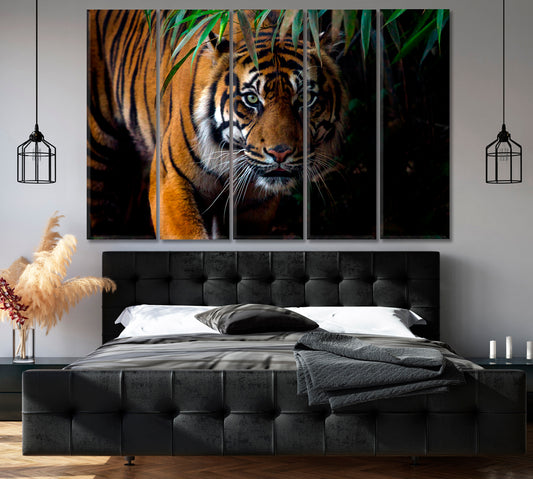 Sumatran Tiger on the Prowl Canvas Print-Canvas Print-CetArt-1 Panel-24x16 inches-CetArt