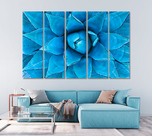 Blue Agave Plant Canvas Print-Canvas Print-CetArt-1 Panel-24x16 inches-CetArt