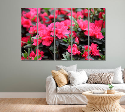 Azaleas Flowers Blooming in Spring Canvas Print-Canvas Print-CetArt-1 Panel-24x16 inches-CetArt