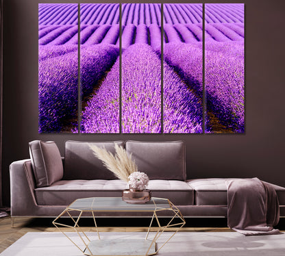 Endless Lavender Field Provence France Canvas Print-Canvas Print-CetArt-1 Panel-24x16 inches-CetArt