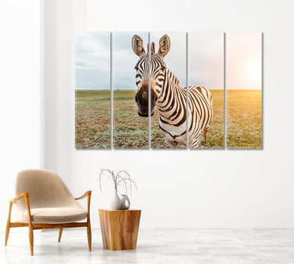 Charming Zebra Face Canvas Print-Canvas Print-CetArt-1 Panel-24x16 inches-CetArt