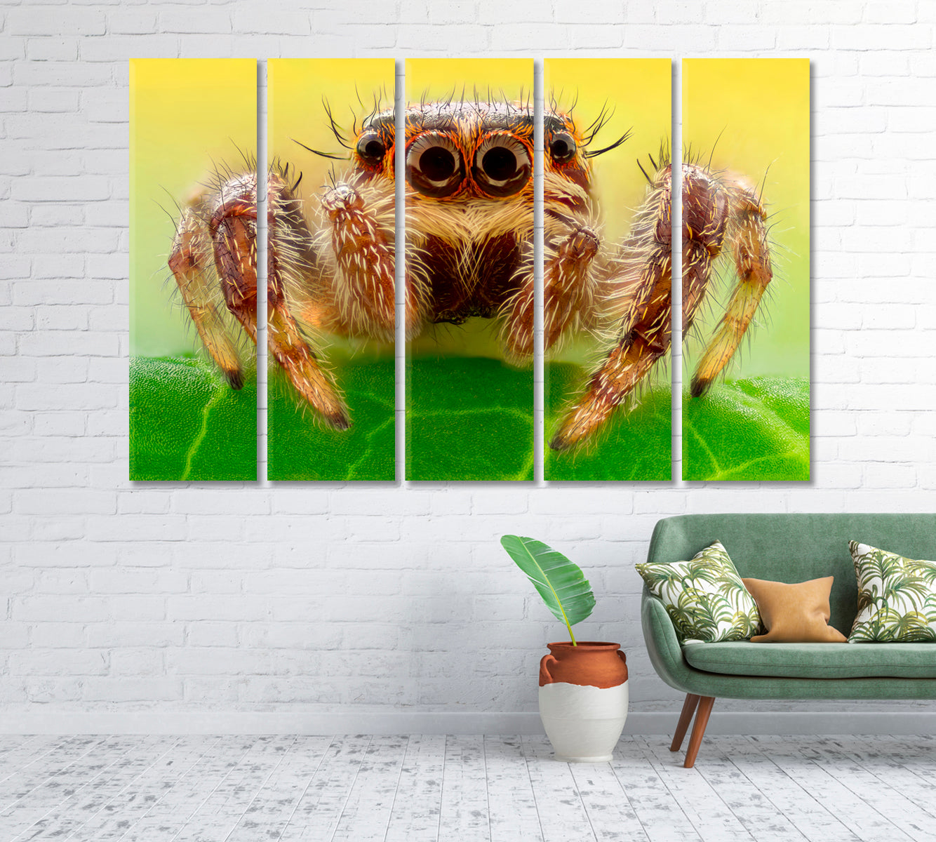 Huge Spider on a Leaf Canvas Print-Canvas Print-CetArt-1 Panel-24x16 inches-CetArt