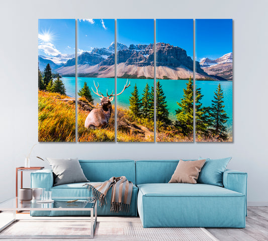 Deer with Forked Antlers near Glacial Lake Bow Canada Canvas Print-Canvas Print-CetArt-1 Panel-24x16 inches-CetArt