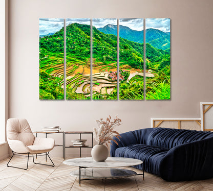 Bangaan Rice Terraces Philippines Canvas Print-Canvas Print-CetArt-1 Panel-24x16 inches-CetArt