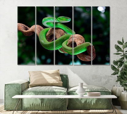 Green Poisonous Snake Canvas Print-Canvas Print-CetArt-1 Panel-24x16 inches-CetArt