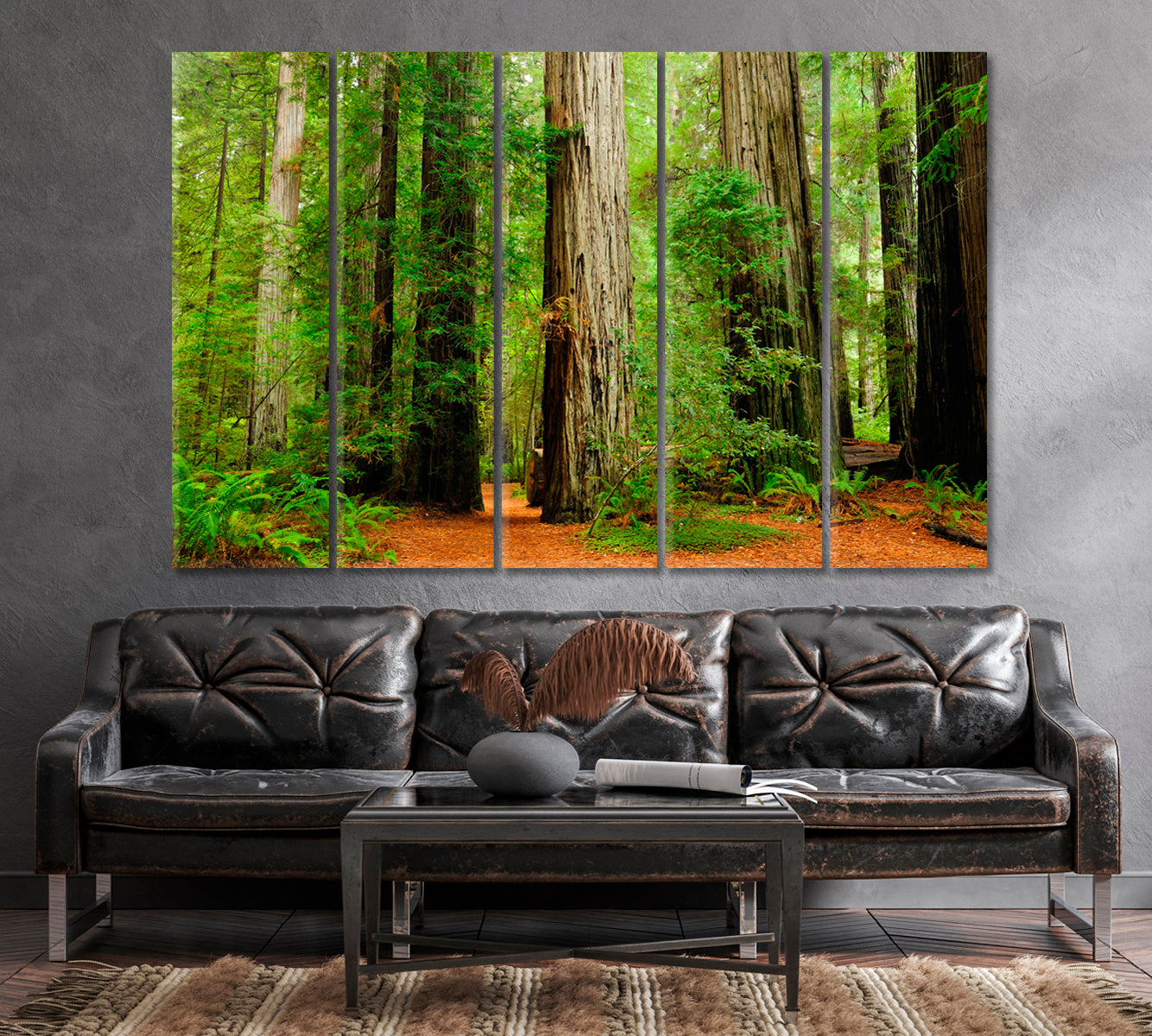 Redwood National Park California USA Canvas Print-Canvas Print-CetArt-1 Panel-24x16 inches-CetArt