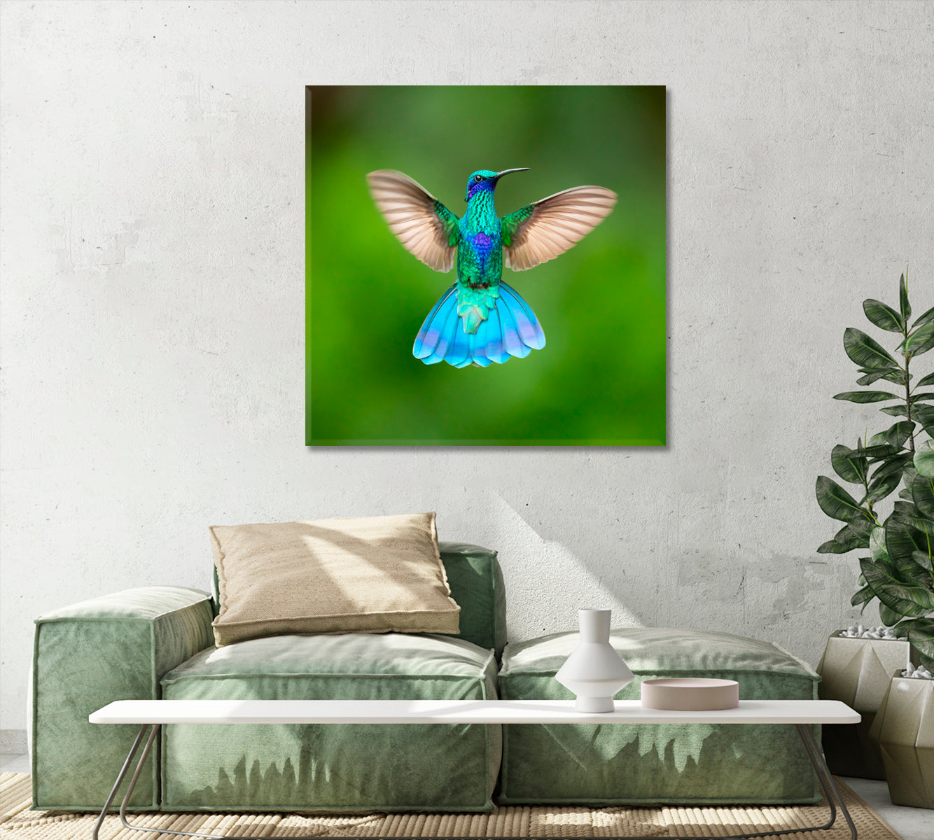 Sparkling Violetear Colibri Coruscans Canvas Print-Canvas Print-CetArt-1 panel-12x12 inches-CetArt