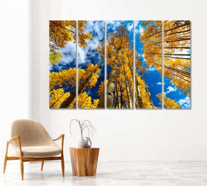 Yellow Aspen Trees in Autumn Colorado Canvas Print-Canvas Print-CetArt-1 Panel-24x16 inches-CetArt