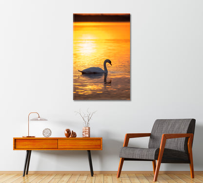 Swan on Calm Lake at Golden Sunrise Canvas Print-Canvas Print-CetArt-1 panel-16x24 inches-CetArt