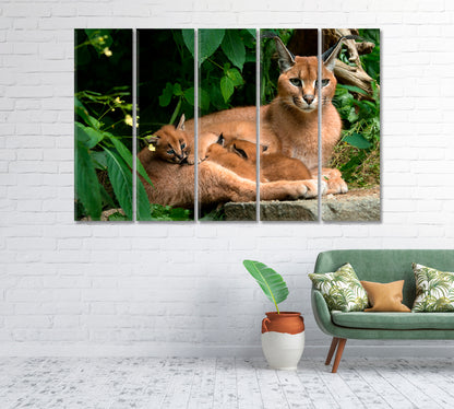 Caracal Family Canvas Print-Canvas Print-CetArt-1 Panel-24x16 inches-CetArt