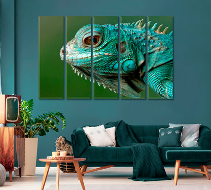 Wild Iguana Close Up Canvas Print-Canvas Print-CetArt-1 Panel-24x16 inches-CetArt