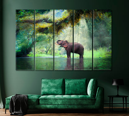 Wild Elephant in the Fairy Forest Thailand Canvas Print-Canvas Print-CetArt-1 Panel-24x16 inches-CetArt