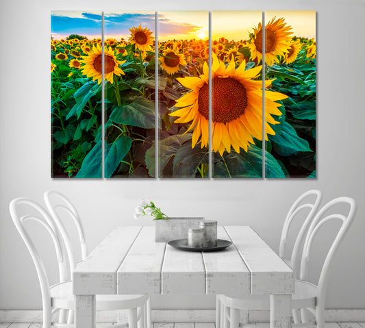 Sunflower Fields at Sunset Canvas Print-Canvas Print-CetArt-1 Panel-24x16 inches-CetArt