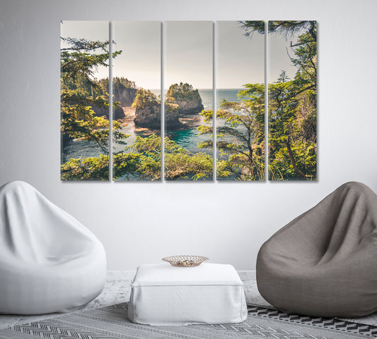 Cape Flattery Landscape Washington State USA Canvas Print-Canvas Print-CetArt-1 Panel-24x16 inches-CetArt