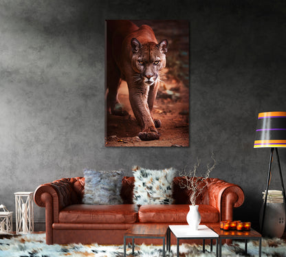 American Puma Canvas Print-Canvas Print-CetArt-1 panel-16x24 inches-CetArt