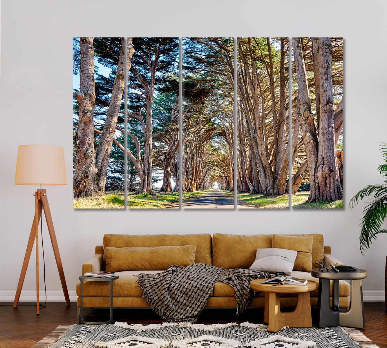 Tree Tunnel at California USA Canvas Print-Canvas Print-CetArt-1 Panel-24x16 inches-CetArt